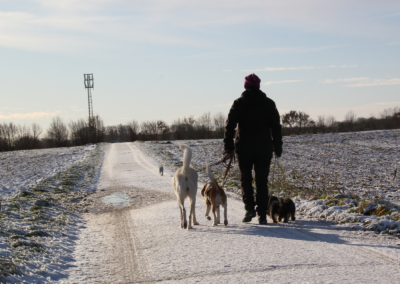 Nicole Behrens mit ihren Hunden beim Gassiservice