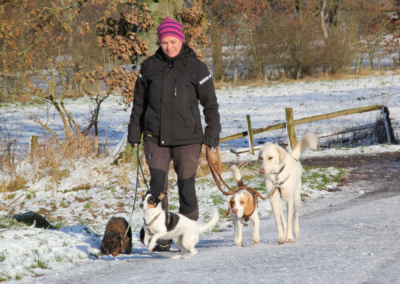 Nicole Behrens mit ihren Hunden beim Gassiservice