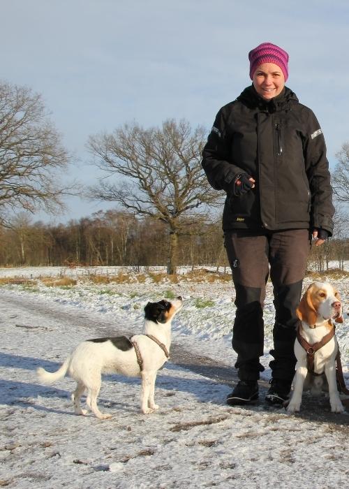 -	Dogwalker -	Gassiservice -	Alsterland -	Hundefreunde -	Nicole Behrens